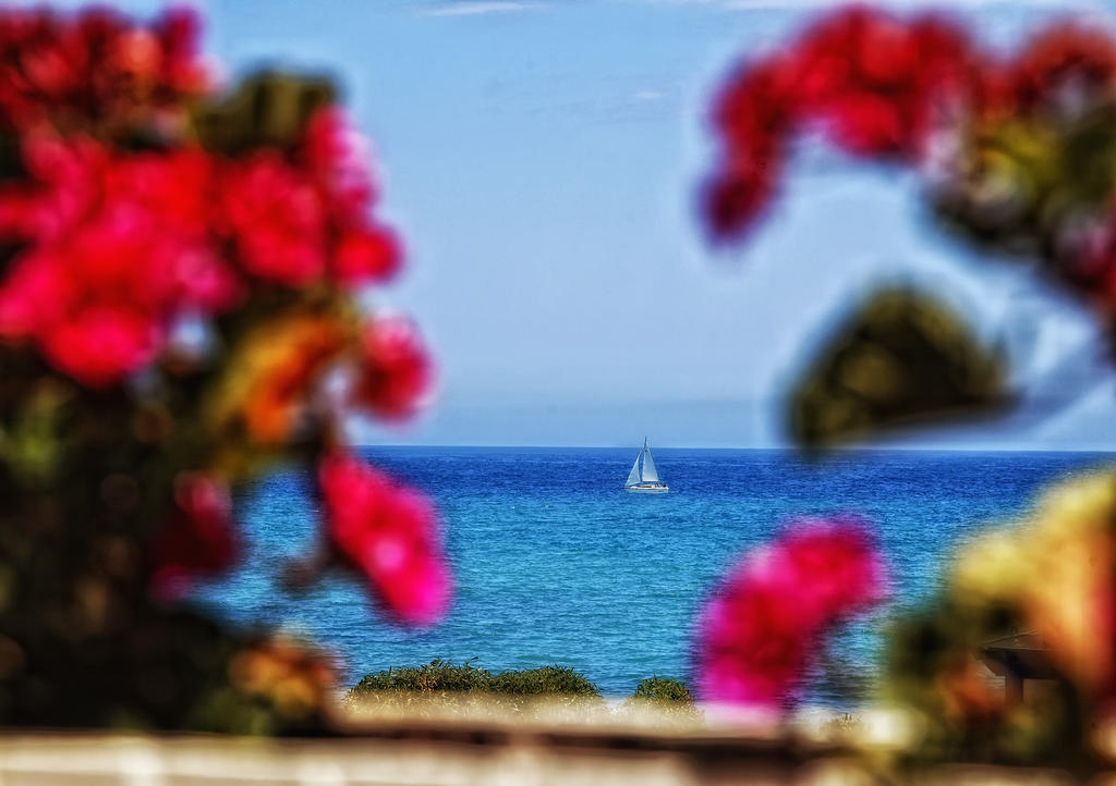 Pension Provenzal Mojácar Exteriér fotografie